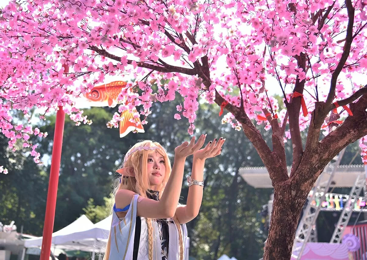 Kanagawa Festival 2025 kicks off in Hanoi