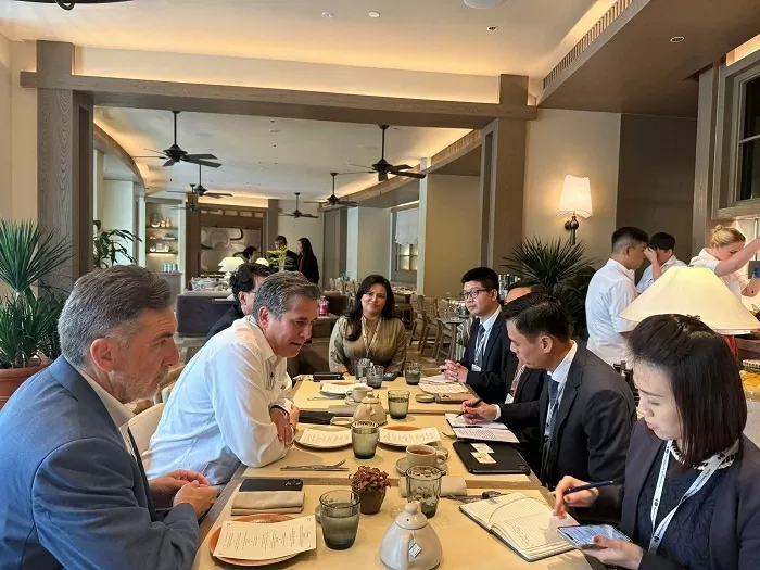 Deputy FM Dang Hoang Giang attends Bloomberg New Economy Forum 2025 in Singapore
