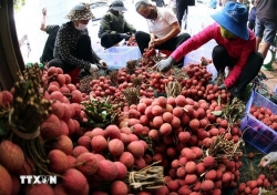 Bac Ninh bolsters direct exports by leveraging highly competitive products