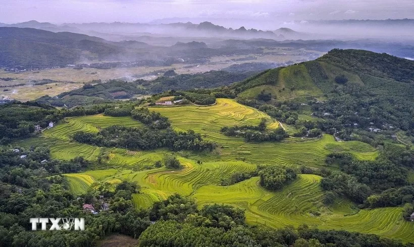 Mien Doi terraced fields in Thuong Coc, Phu Tho (Photo: VNA) Mien Doi terraced fields in Thuong Coc, Phu Tho (Photo: VNA)