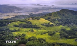 Phu Tho Province to establish the Mien Doi terraced fields as a key attraction on Vietnam's national tourism map