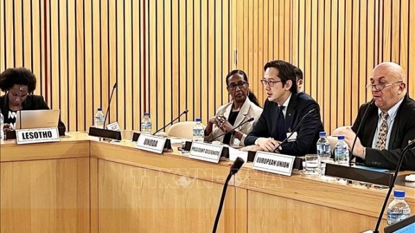 Vietnam chairs African Regional Consultation for 2026 NPT Review Conference