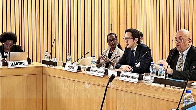 Vietnam chairs African Regional Consultation for 2026 NPT Review Conference