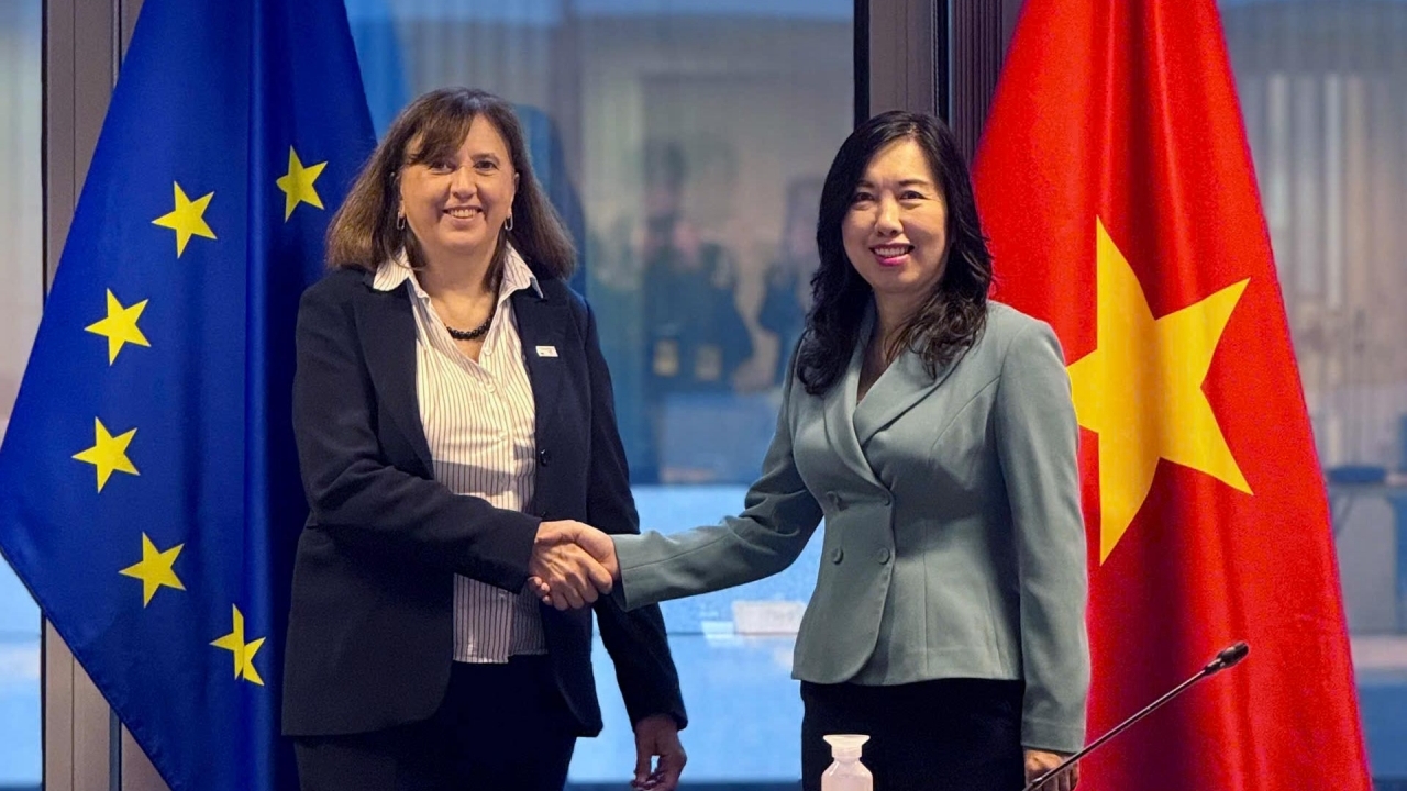 EU provides emergency aid of 850,000 euros to support flood victims in Vietnam: Deputy FM Le Thi Thu Hang