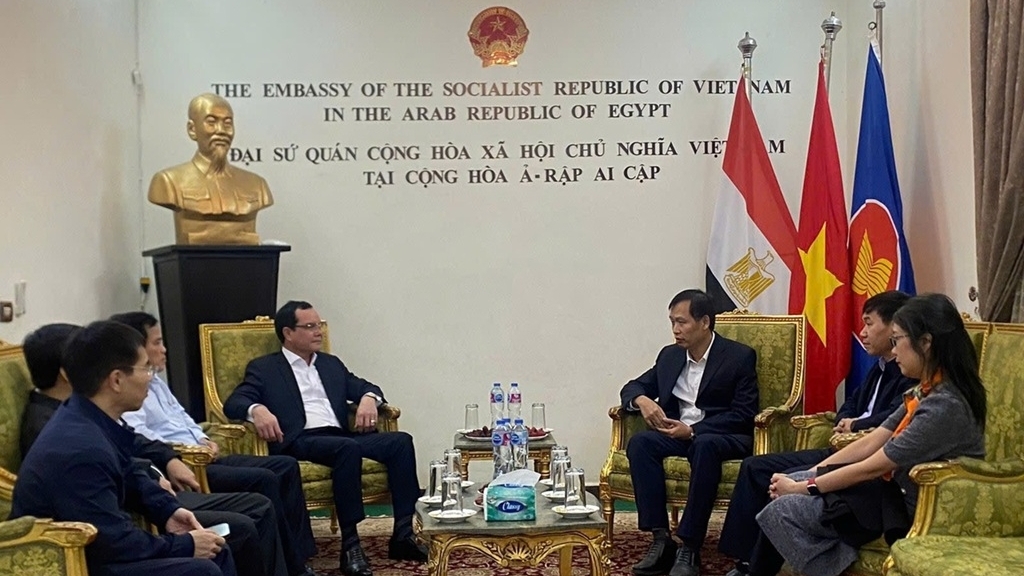 Union cooperation contributes to strengthening Vietnam-Egypt understanding and solidarity