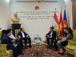 Union cooperation contributes to strengthening Vietnam-Egypt understanding and solidarity