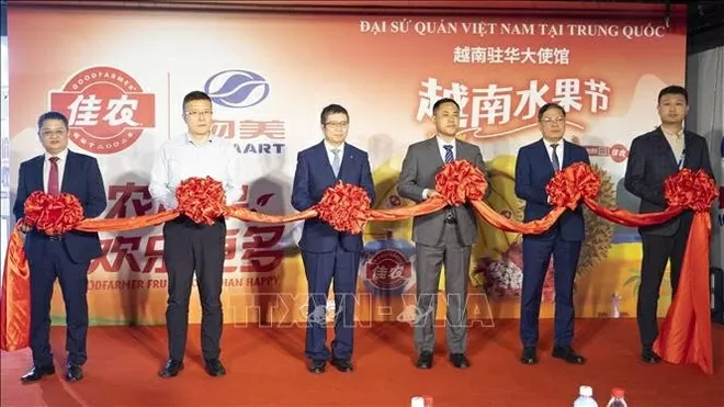 At the ceremony to kick off 'Vietnam Goods Day in China & Vietnamese Fruit Festival' in China. (Photo: VNA)