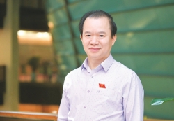 Vietnam’s cultural identity in the era of international integration