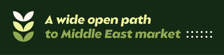 Ambassador Hoang Huu Anh: Paving the way for Vietnamese products to enter the Middle East market