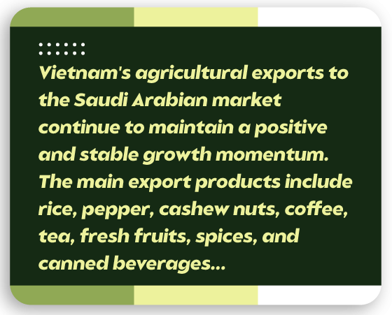 Ambassador Hoang Huu Anh: Paving the way for Vietnamese products to enter the Middle East market