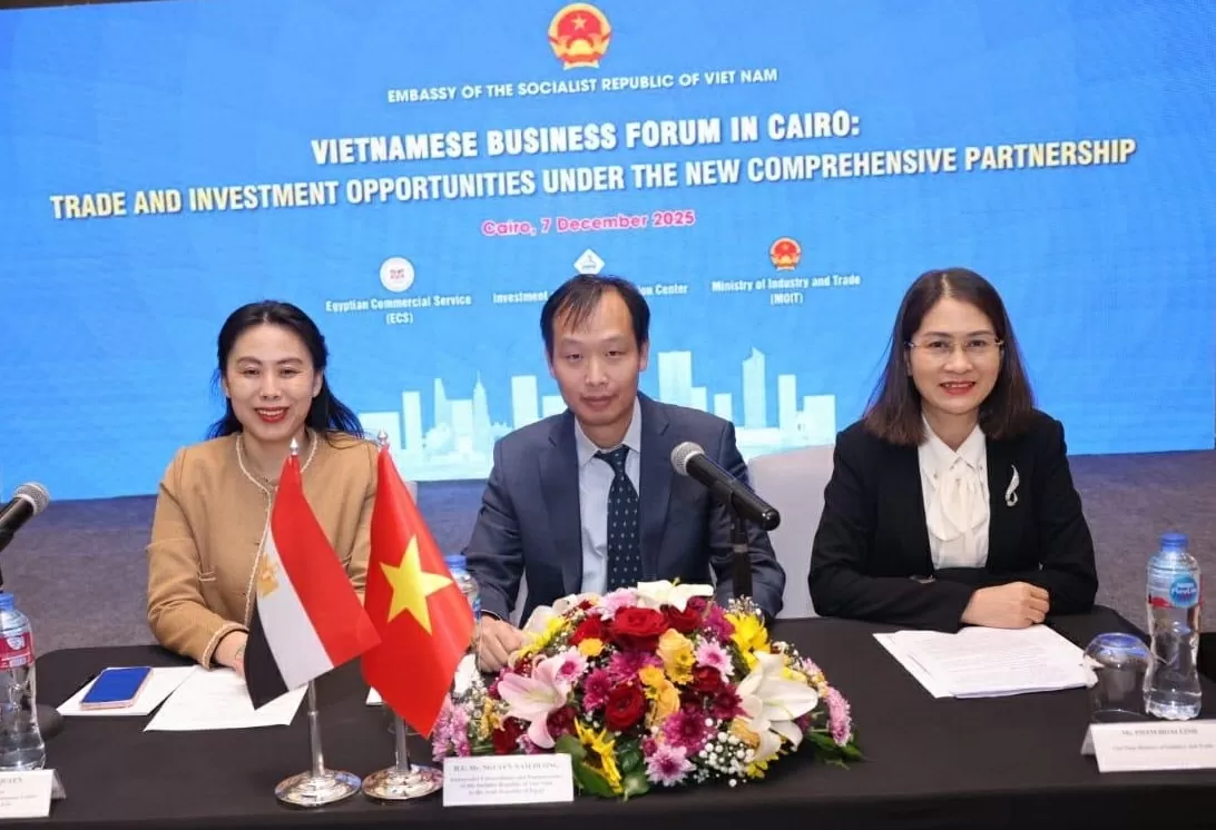Vietnam Business Forum in Cairo: Trade and investment opportunities within the Comprehensive Partnership Framework