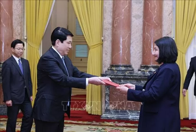 President Luong Cuong receives Ambassadors and non-resident Ambassadors presenting Credentials