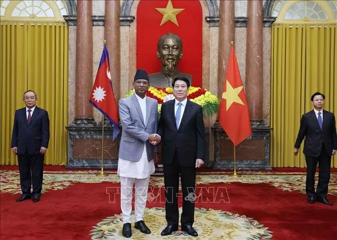 President Luong Cuong receives Ambassadors and non-resident Ambassadors presenting Credentials