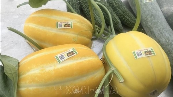 Product traceability - 'Passport' for Vietnamese goods to expand globally