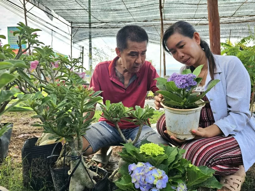 Le Hong Phuc and his wife Vo Thi Loan in Vinh Long province have developed their production of ornamental pots and bonsai trees using policy-based credit. (Photo: VNA)