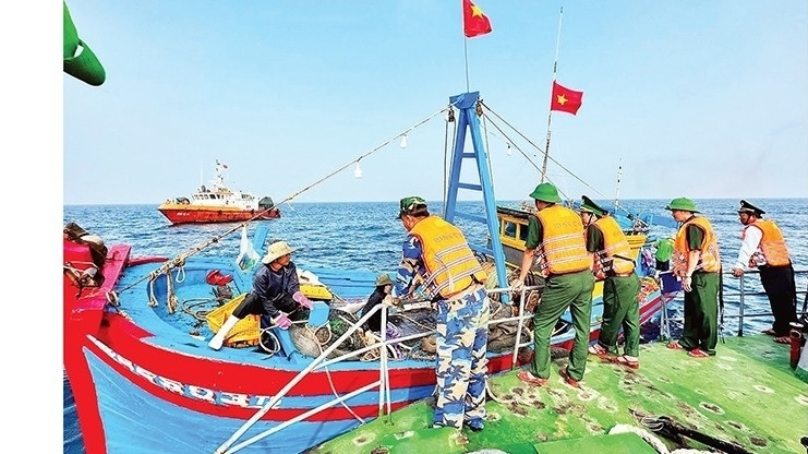 Quang Ngai: Records positive progress in combating IUU fishing