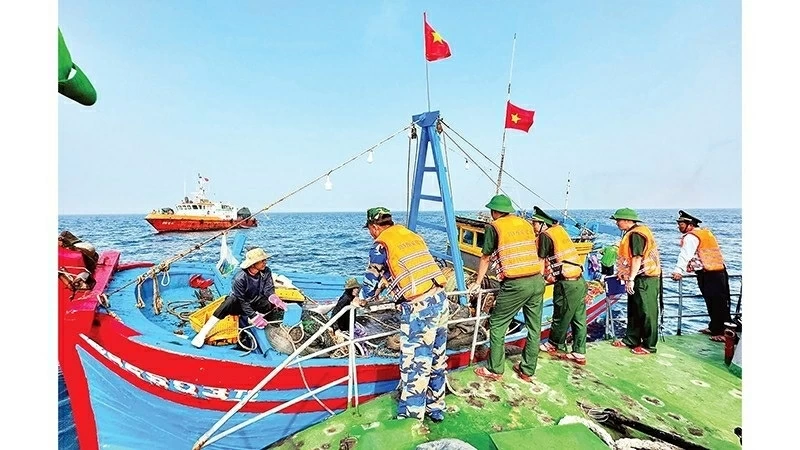 Quang Ngai: Records positive progress in combating IUU fishing Quang Ngai: Records positive progress in combating IUU fishing