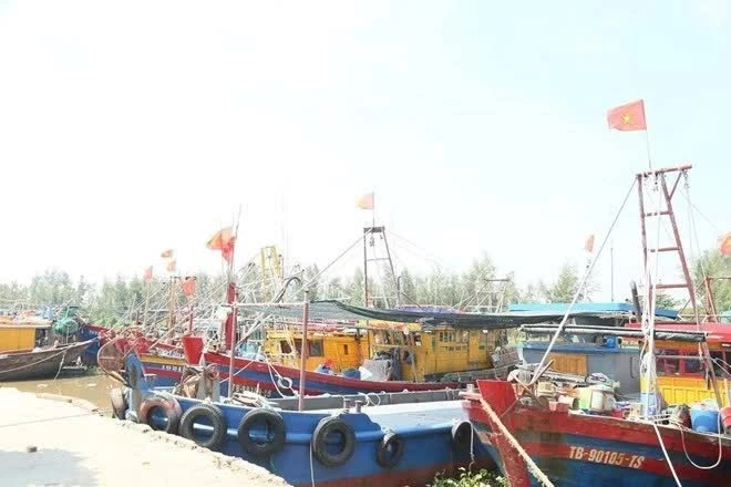 Combating IUU fishing: Hung Yen takes decisive action, Dak Lak raises fishermen's awareness