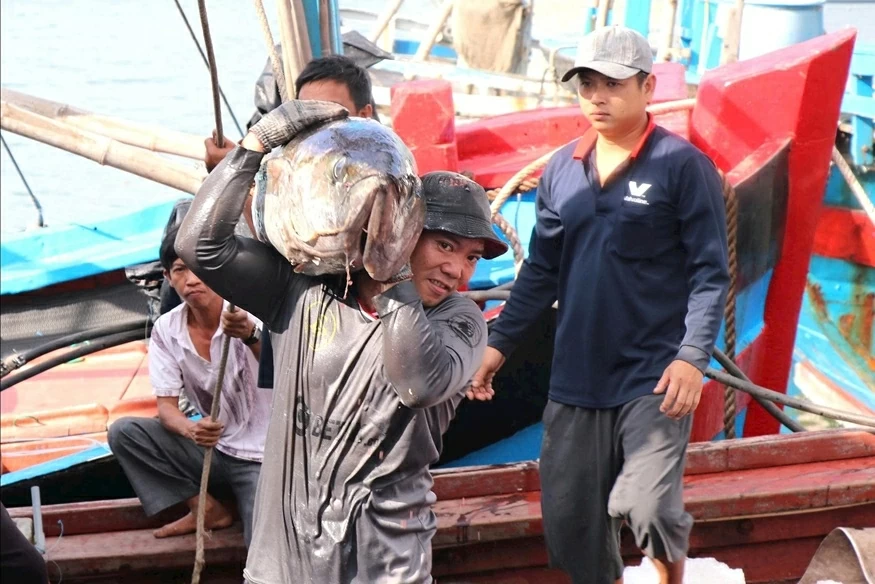 Combating IUU fishing: Hung Yen takes decisive action, Dak Lak raises fishermen's awareness
