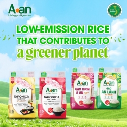 'Grade A Quality' – Aan clean rice’s passport to the world