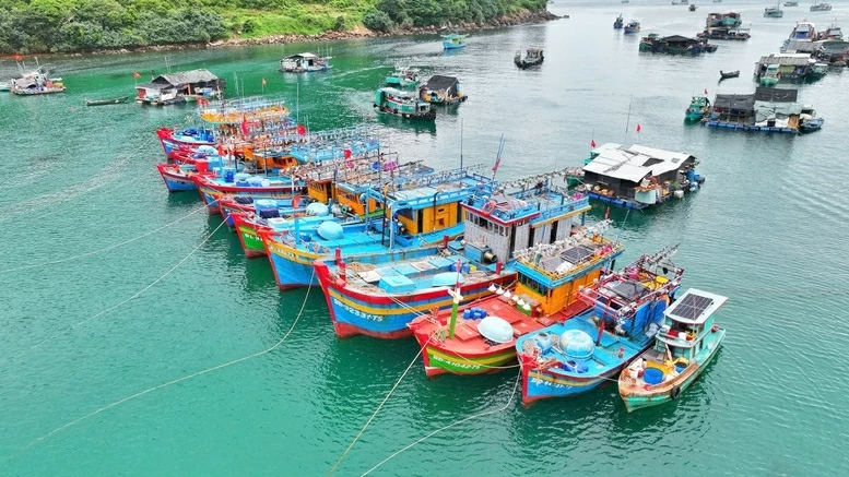 Combating IUU Fishing: Quang Tri tightens inspections from fishing ports to fishing grounds, An Giang standardizes fisheries management
