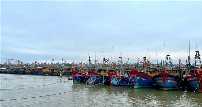 Combating IUU Fishing: Quang Tri tightens inspections from fishing ports to fishing grounds, An Giang standardizes fisheries management Combating IUU Fishing: Quang Tri tightens inspections from fishing ports to fishing grounds, An Giang standardizes fisheries management