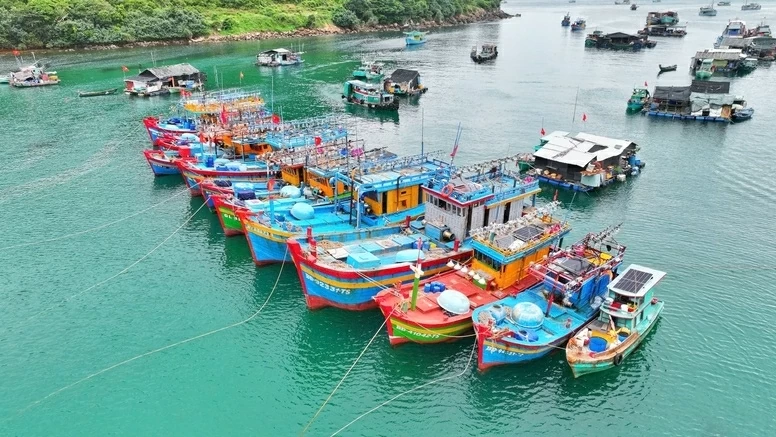 Combating IUU Fishing: Quang Tri tightens inspections from fishing ports to fishing grounds, An Giang standardizes fisheries management
