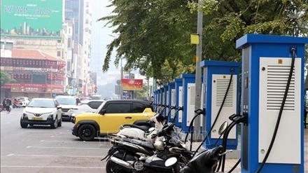 Ho Chi Minh City curbs pollution through transition to green transport