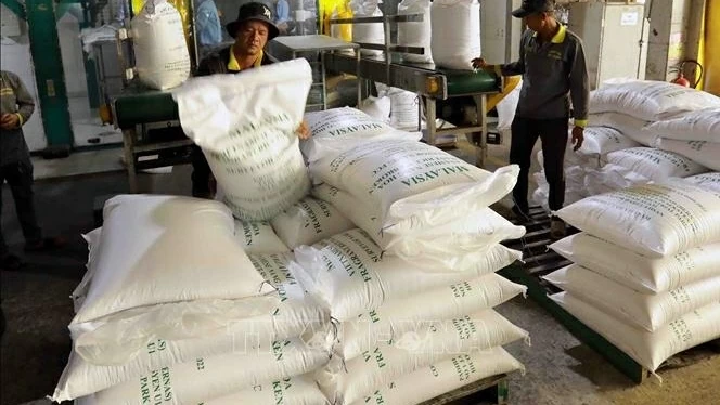 Vietnam plans gradual reduction of rice exports to 4 million tonnes by 2030