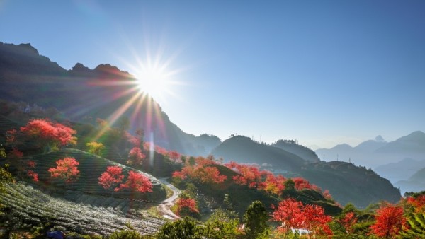 Vietnam tourism: Aspiration for sustainable development and enhancing destination value