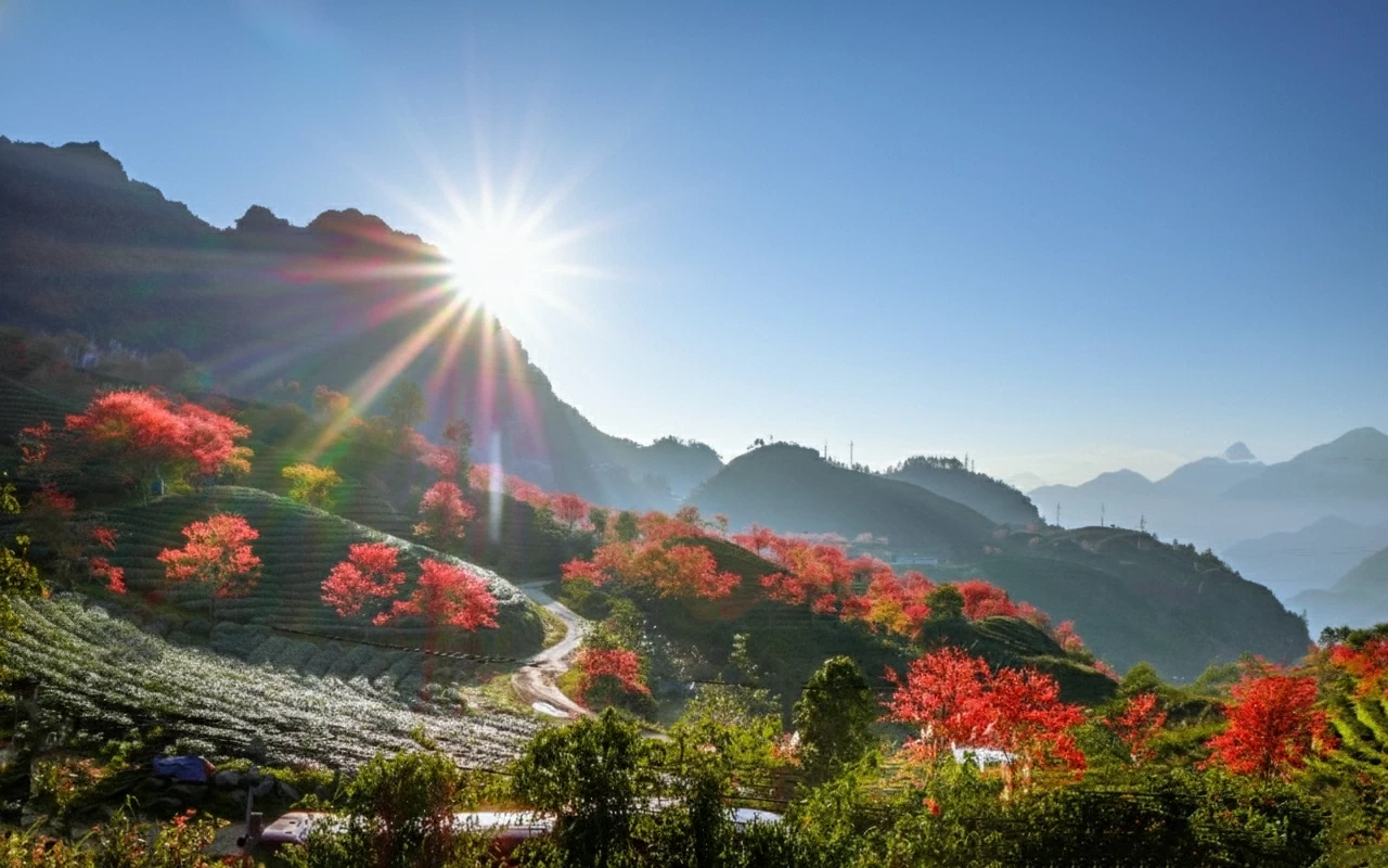 Vietnam tourism: Aspiration for sustainable development and enhancing destination value Vietnam tourism: Aspiration for sustainable development and enhancing destination value
