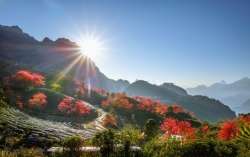 Vietnam tourism: Aspiration for sustainable development and enhancing destination value