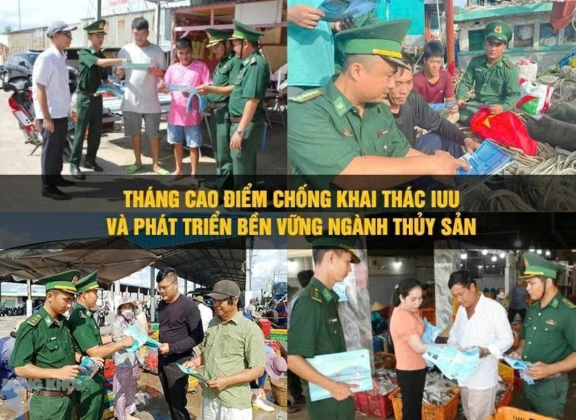 Combating IUU Fishing: Khanh Hoa supports fishermen, Ca Mau achieves comprehensive transformation Combating IUU Fishing: Khanh Hoa supports fishermen, Ca Mau achieves comprehensive transformation