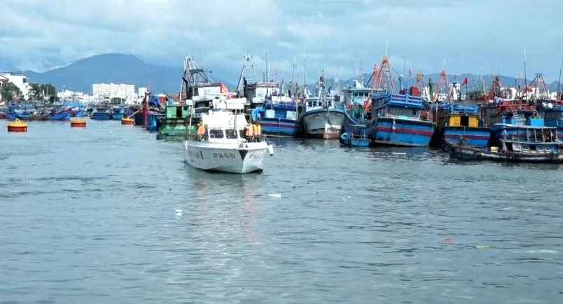 Combating IUU Fishing: Khanh Hoa supports fishermen, Ca Mau achieves comprehensive transformation Combating IUU Fishing: Khanh Hoa supports fishermen, Ca Mau achieves comprehensive transformation