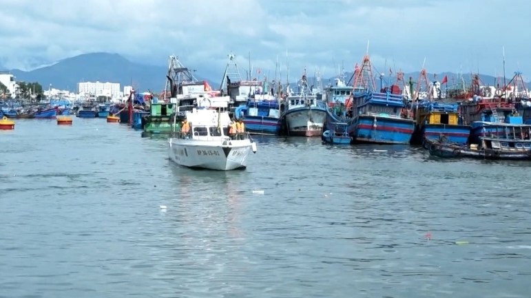 Combating IUU Fishing: Khanh Hoa supports fishermen, Ca Mau achieves comprehensive transformation