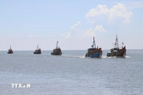Combating IUU fishing: Nghe An steps up measures to address EC’s yellow card Combating IUU fishing: Nghe An steps up measures to address EC’s yellow card