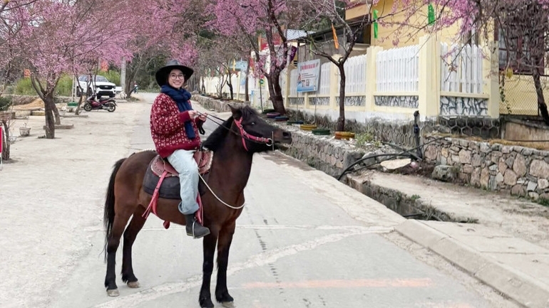 Tuyen Quang launches horseback trekking tourism in Vietnam’s Northernmost region