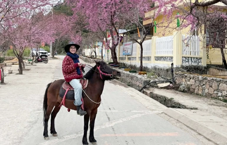 Horseback trekking debuts at Vietnam’s northernmost point. (Photo: Nhandan.vn) Horseback trekking debuts at Vietnam’s northernmost point. (Photo: Nhandan.vn)