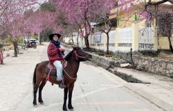Tuyen Quang launches horseback trekking tourism in Vietnam’s Northernmost region