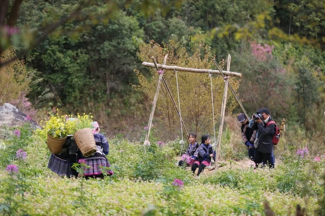 Cultural festival spotlights Mu Cang Chai tourism potential Cultural festival spotlights Mu Cang Chai tourism potential