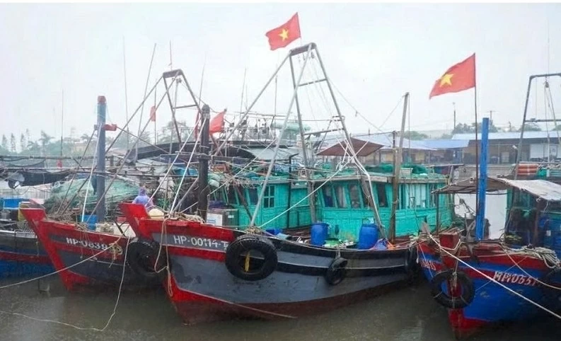Combating IUU fishing: Hai Phong 'cleans up' fishing vessel data, Lam Dong emerges as a 'shining spot' Combating IUU fishing: Hai Phong 'cleans up' fishing vessel data, Lam Dong emerges as a 'shining spot'