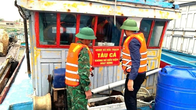 Combating IUU Fishing: Quang Tri prosecutes violations; Quang Ninh implements effective and sustainable solutions Combating IUU Fishing: Quang Tri prosecutes violations; Quang Ninh implements effective and sustainable solutions