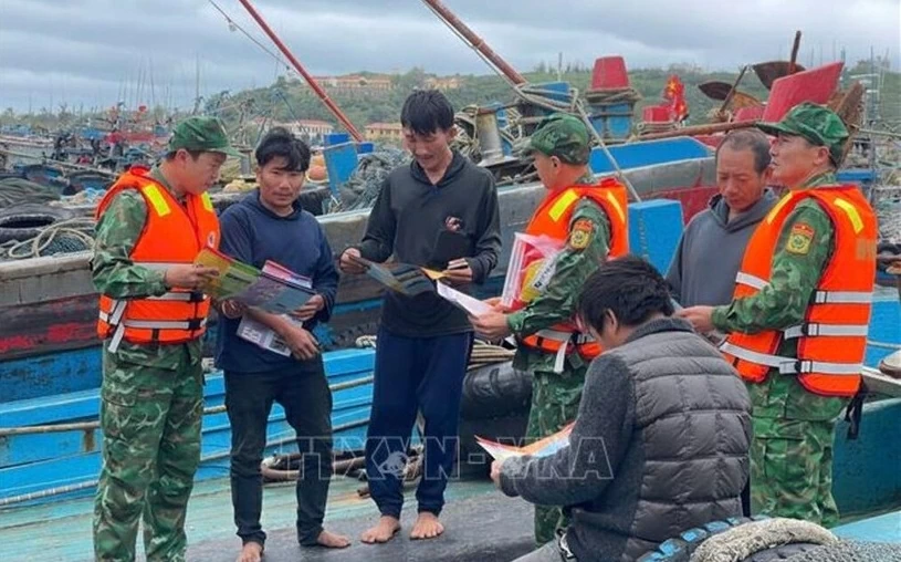 Combating IUU Fishing: Quang Tri prosecutes violations; Quang Ninh implements effective and sustainable solutions