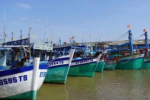 Combating IUU Fishing: Nine key focus areas before the EC inspection team's visit to Vietnam Combating IUU Fishing: Nine key focus areas before the EC inspection team's visit to Vietnam