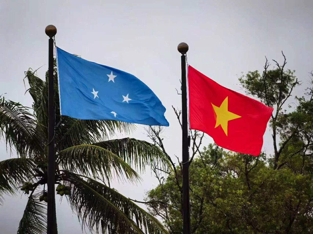 Ambassador Pham Thanh Binh presents Credentials to the President of the Federated States of Micronesia