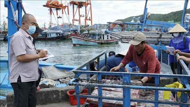 Combating IUU Fishing: All fishing vessels in Hung Yen licensed for fisheries; Gia Lai operates smart warning system
