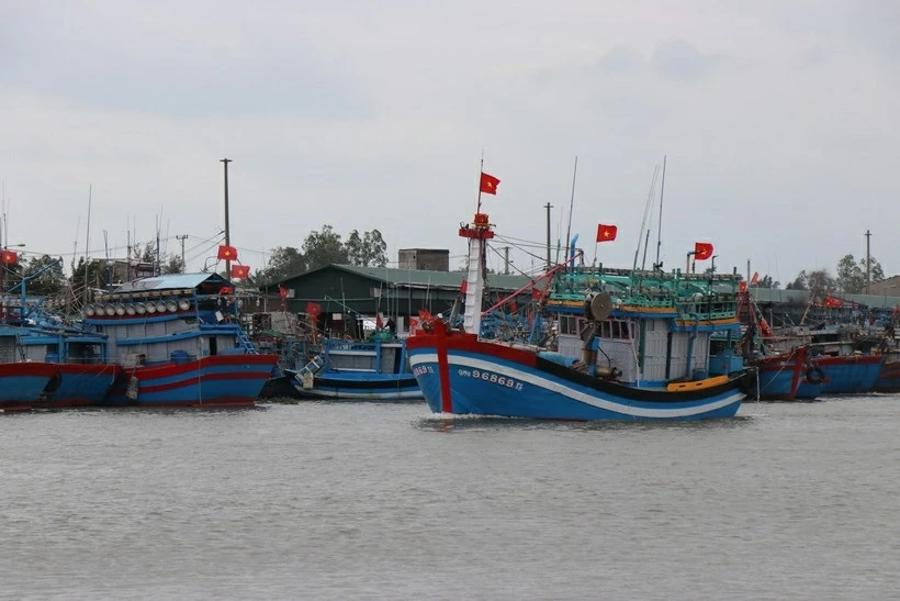 Combating IUU Fishing: Quang Ngai helps fishermen transition to sustainable livelihoods