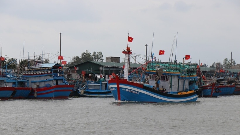Combating IUU Fishing: Quang Ngai helps fishermen transition to sustainable livelihoods