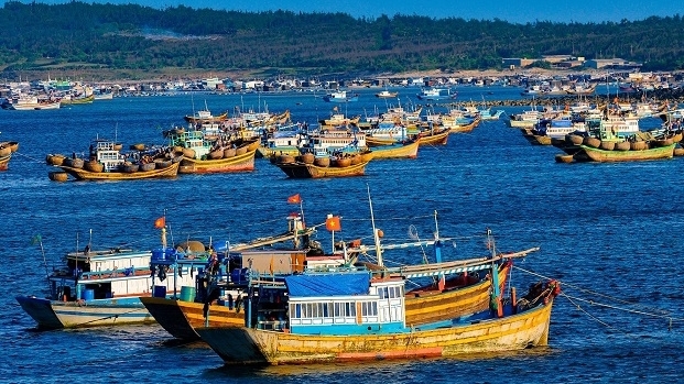 Combat IUU Fishing: Prime Minister calls for maximum mobilization of time and resources