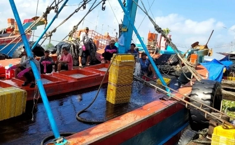 Combating IUU Fishing: Dong Thap excels with methodical and decisive approach; Quang Ninh restructures fisheries for sustainable development Combating IUU Fishing: Dong Thap excels with methodical and decisive approach; Quang Ninh restructures fisheries for sustainable development